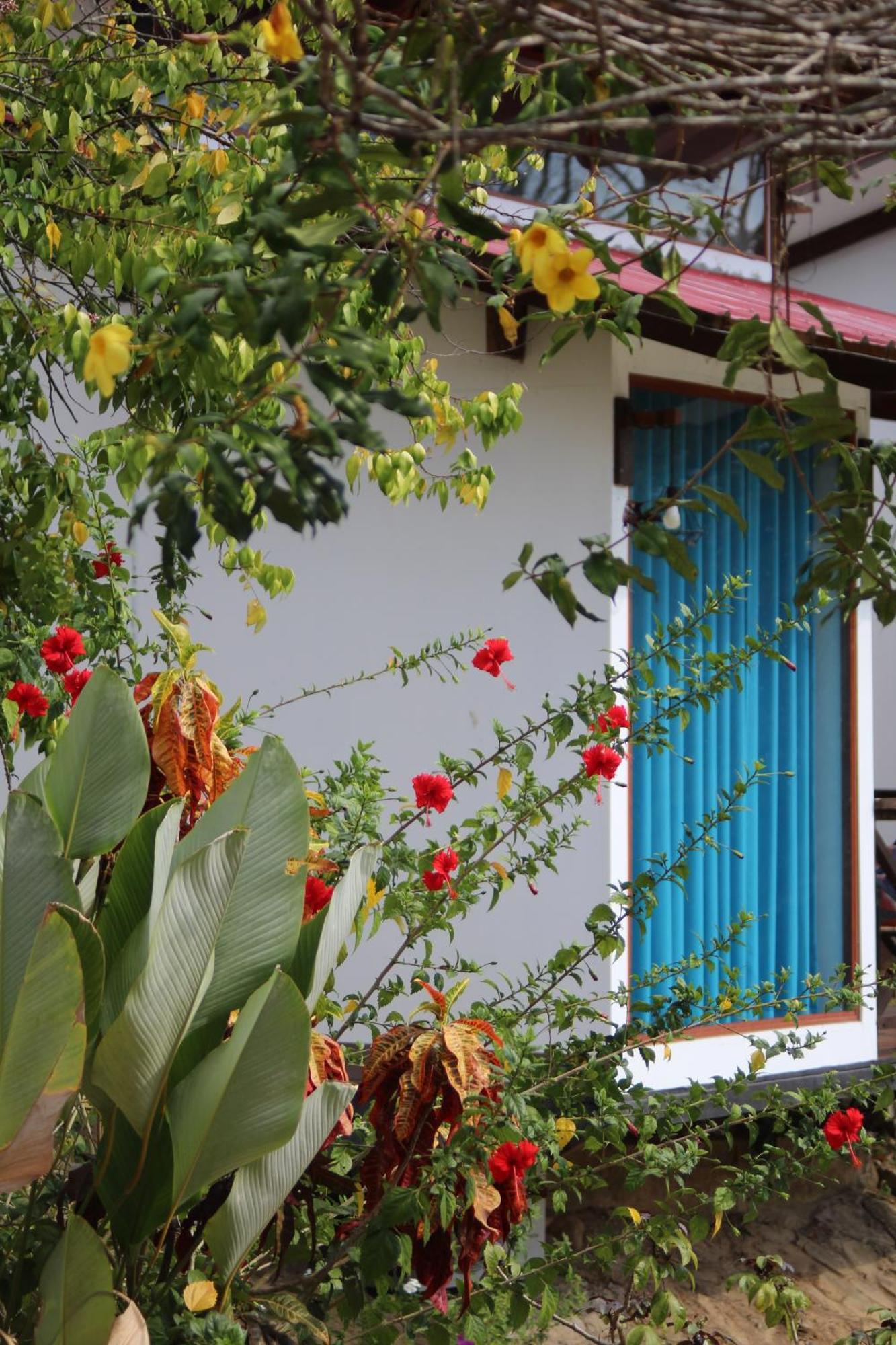 Hacienda Don Vicente Bungalows-塔拉波托 外观 照片